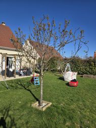 Jardin 2026-03-02 (3)